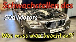 BMW F02 750Ld - Alles rund um die Technik des Motors - Reinigung Ansaugbrücke/Einlasskanäle