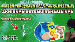 RESEP UMPAN IKAN MAS TANPA ESSEN UMPAN TERJITU SOLUSI IKAN SUSAH MAKAN 