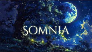 SOMNIA - Dream Land Ambience and Music | calm flowing music and sounds of peaceful dream of a meadow