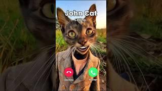 John Cat Call at 3AM  #funny #cat