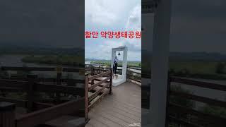 #기다림의 종#함안 #악양생태공원