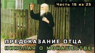 16. Предсказание отца Николая Гурьянова о монашестве. Несвятые святые в цвете. Часть 16 из 25