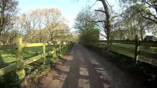 Sigri - Riding in UK - Sherwood Forest around Kings Clipstone