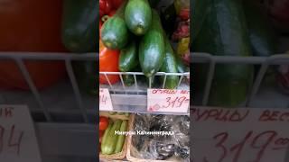 ТОП 5 минусов в Калининграде!