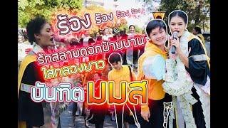 บัณฑิต มมส ร้องหมอลำ ใส่กลองยาว | รักสลายดอกฝ้ายบาน คณะศิลปกรรมศาสตร์