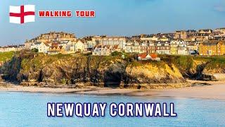 EXPLORING NEWQUAY TOWN & BEACHES IN CORNWALL | NEWQUAY ZOO & ANIMAL WILDLIFE PARK | WALKING TOUR