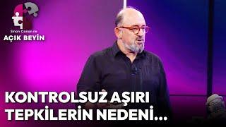 Aşırı Korkusu olan insanlar neden Fazla Tepki Verir? | Sinan Canan İle Açık Beyin