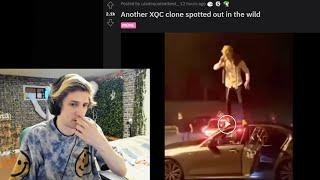 xQc reacts to His Clone Spotted Out in the Wild