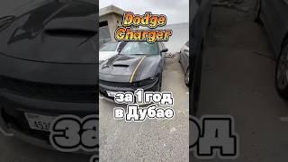 Dodge charger в Дубае стоят очень не дорого.. можно купить за год, буквально сэкономив на кофе..