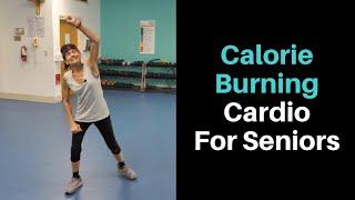 Calorie Burning, Energy Boosting Cardio For Seniors