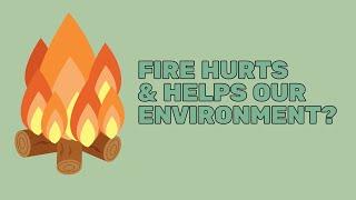 The Ecological Benefits of Fire | Mission Unstoppable