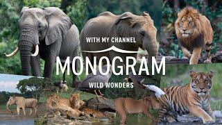 "Wild Wonders: Exploring the Majestic Animals and Conservation Efforts Around the World"