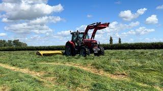 Mowed, Raked, Baled. 14ha, 194 Bales.