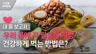 [내 몸 보고서] 우리 몸에 꼭 필요한 지방…건강하게 먹는 방법은? / YTN 사이언스