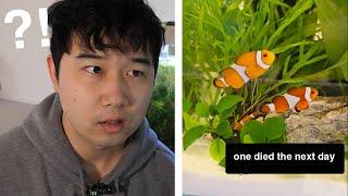 Fishkeeper SHOCKED at FRESHWATER CLOWNFISH | Fish Tank Review 294