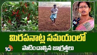 Precautions for Chilli Farming | మిరపనాట్ల సమయంలో పాటించాల్సిన జాగ్రత్తలు | Matti Manishi | 10TV