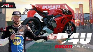 Welche Panigale ist die Beste für dich? V2, V4S, V4 SP2 und V4R im Vergleich