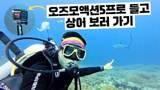 DJI 오즈모 액션5프로 브이로그는 이런 느낌 | 말라파스쿠아 환도상어 브이로그