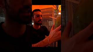 Lebanese Guy Tries $1 Coconut in Bukit Bintang KL 