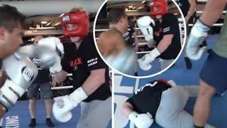 Logan Paul Got Brutally Knocked Out By Undefeated UFC Fighter Paulo Costa In Sparring Session