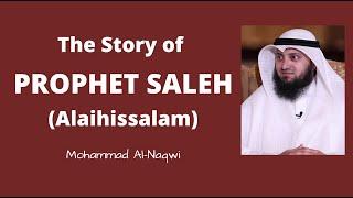 The Story of Prophet Saleh Alaihissalam  | Mohammad AlNaqwi