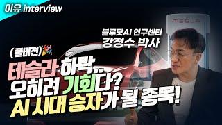 테슬라 하락 오히려 기회다? AI 시대 승자가 될 종목! (강정수 박사 인터뷰 풀버젼)