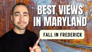 BEST Things to Do in Frederick Maryland this FALL 2024