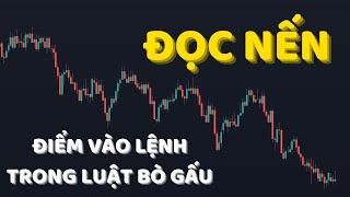 ĐỌC NẾN - Bước Quan Trọng Nhất Để Tìm Điểm Vào Lệnh Trong LUẬT BÒ GẤU