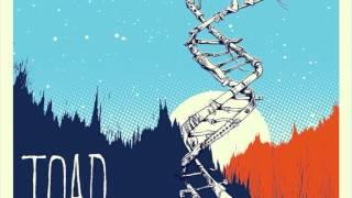 Toad the wet sprocket The Moment