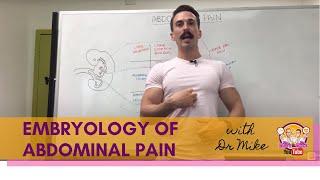 Abdominal Pain | Embryology