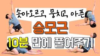 [승모근 특집!] 솟아오르고, 뭉치고, 아픈 승모근을 10분 만에 풀어드립니다.