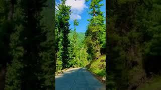 yakhtanga shangla kpk.