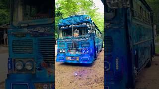 2023 ඌව හොල්ලන ලස්සනම සුපිරිම බස් ටික |Sri Lanka Uva Super Beautiful New Bus #shorts #short 