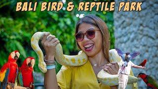 Is Bali Bird and Reptile Park Worth to Visit? Find Out What to Expect when Visiting