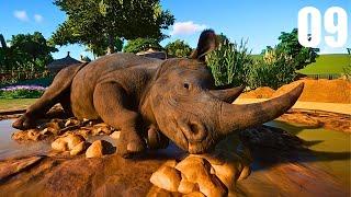 Creating an Ethical Eco Habitat for Breeding Black Rhinos
