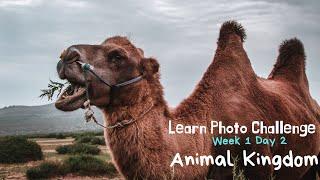 LEARN Photo Challenge Week 1 Day 2