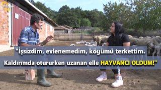 "Kaldırımda otururken uzanan elle HAYVANCI OLDUM!" - Bir Hayvancılık Hikayesi