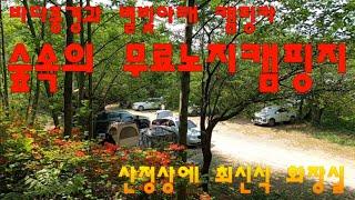 숲속의 무료노지캠핑지 /바다풍경과 별빛아래 캠핑카/최신식화장실 camping campinglife campingcar