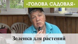 Голова садовая - Зеленка для растений