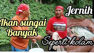 Sungai seperti kolam ikan, Ikannya banyak airnya jernih!!