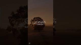 Quran Recitation Surah Al-Balad verse 1 _ 15 Yasser Al Dosari beautiful voice #quran #shorts