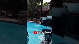 Resort pinggir pantai yang nyaman #shortfeed #shortsvideo #short #pantai #resort