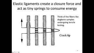 MSE403G S20 Lecture 31 Module 2