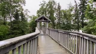 Walking Brooks Trail to BROOKS FALLS Katmai National Park Alaska