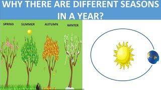 WHAT CAUSES SEASONS || SEASONS ON EARTH - SUMMER - WINTER - AUTUMN - SPRING