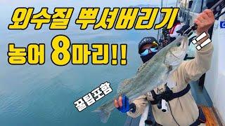 생새우 외수질 벌써부터 마릿수가 터졌습니다!!