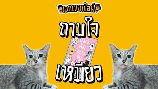 เอกเขนกไลฟ์ 159 | ถามใจเหมียว  | ผัวน้อยแชนแนล