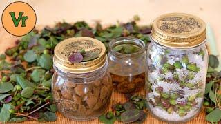 How to preserve capers | Salt, oil and vinegar