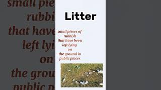 Litter meaning vocabulary  #vocabulary #education #english