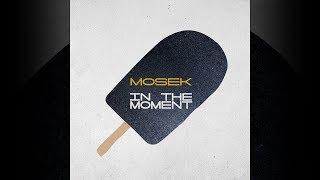 Mosek - In the Moment